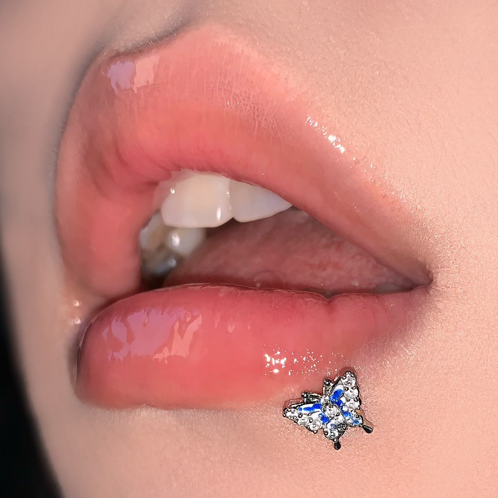 Labret Studs collection image