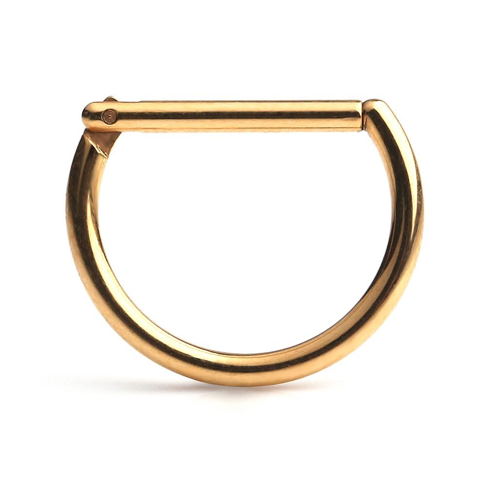 G23 Titanium D-Shaped Nose Ring Closed Loop Buckle Body Piercing Jewelry - Image 4