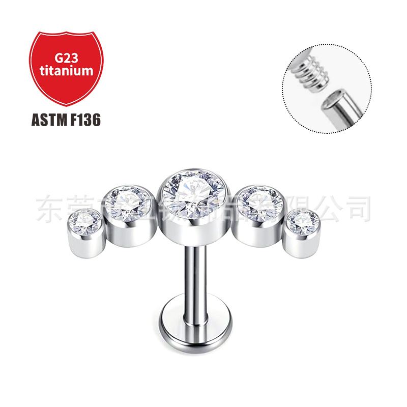Cartilage Studs collection image