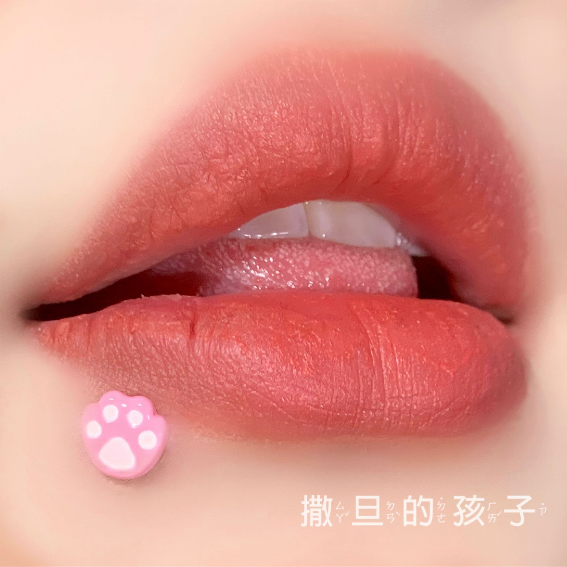 Labret Studs collection image