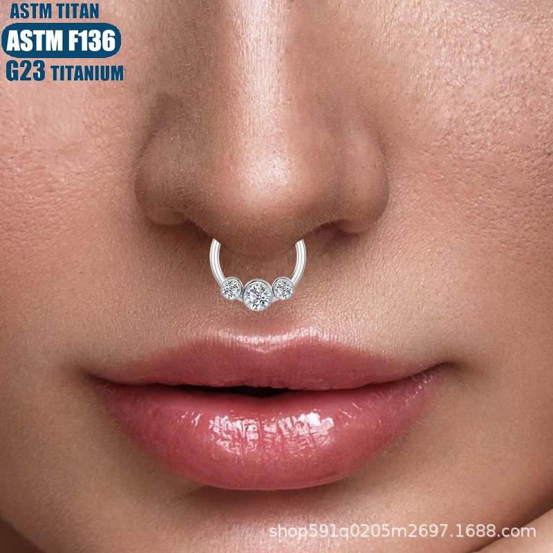 G23 Titanium Hinge Nose Ring with Zircon Earrings Seamless Ring Body Piercing Jewelry - Image 4