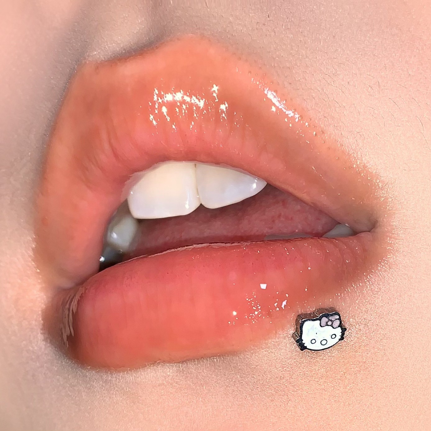 Cute Kitty Cat Lip Piercing Internally Threaded Titanium Steel Sweet Ear Bone Piercing Jewelry for Women Hot Girl Factory Wholesale - Image 2
