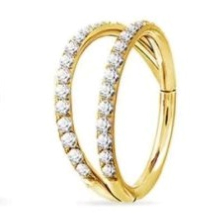 G23 Titanium Alloy CNC Micro Diamond Double Ring Nose Ring Earring Stud Inlay - Image 3