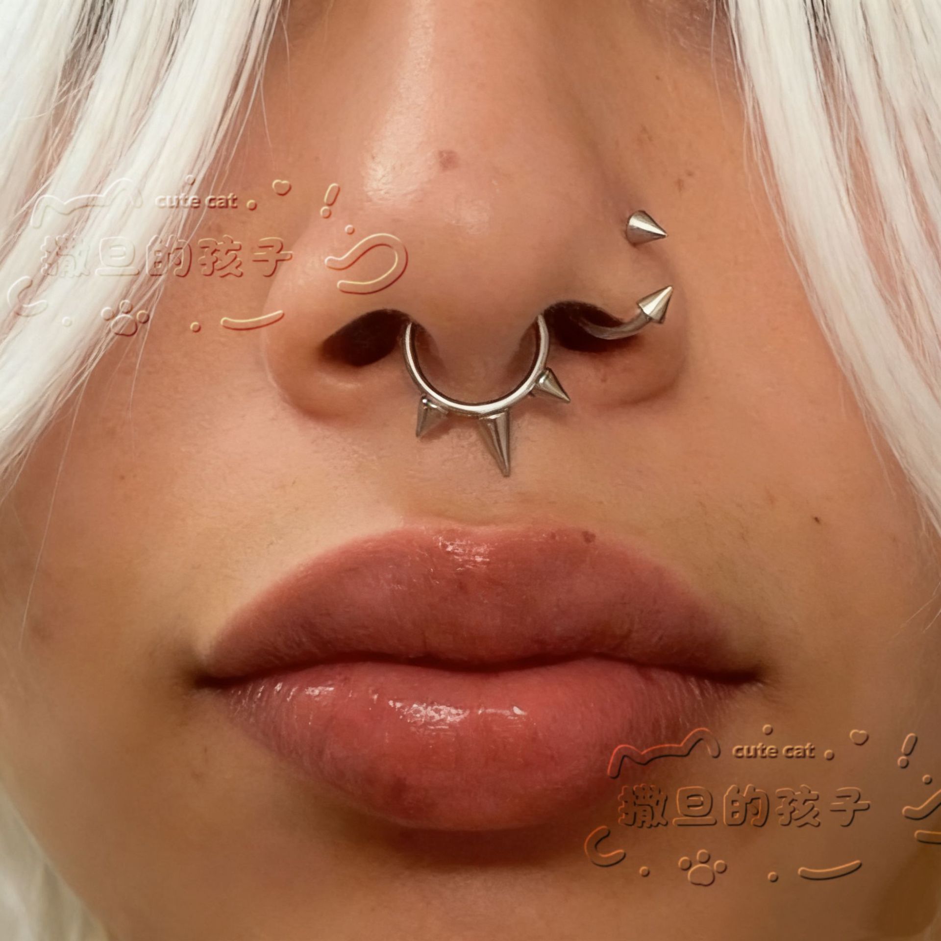 Septum Rings collection image